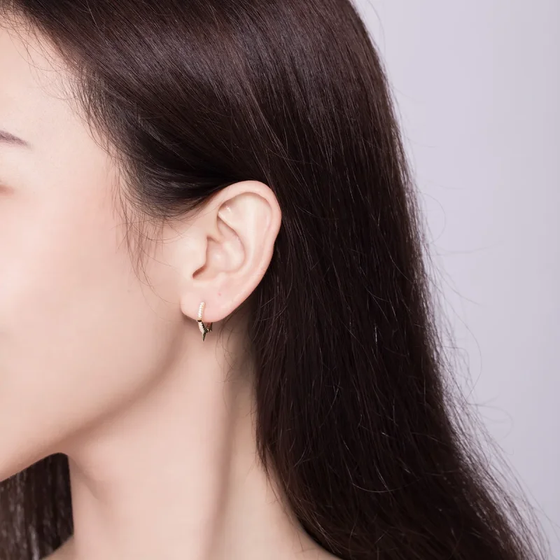 (image for) PANDORA Style Irregular Geometry Hoop Earrings - BSE168 - View 7