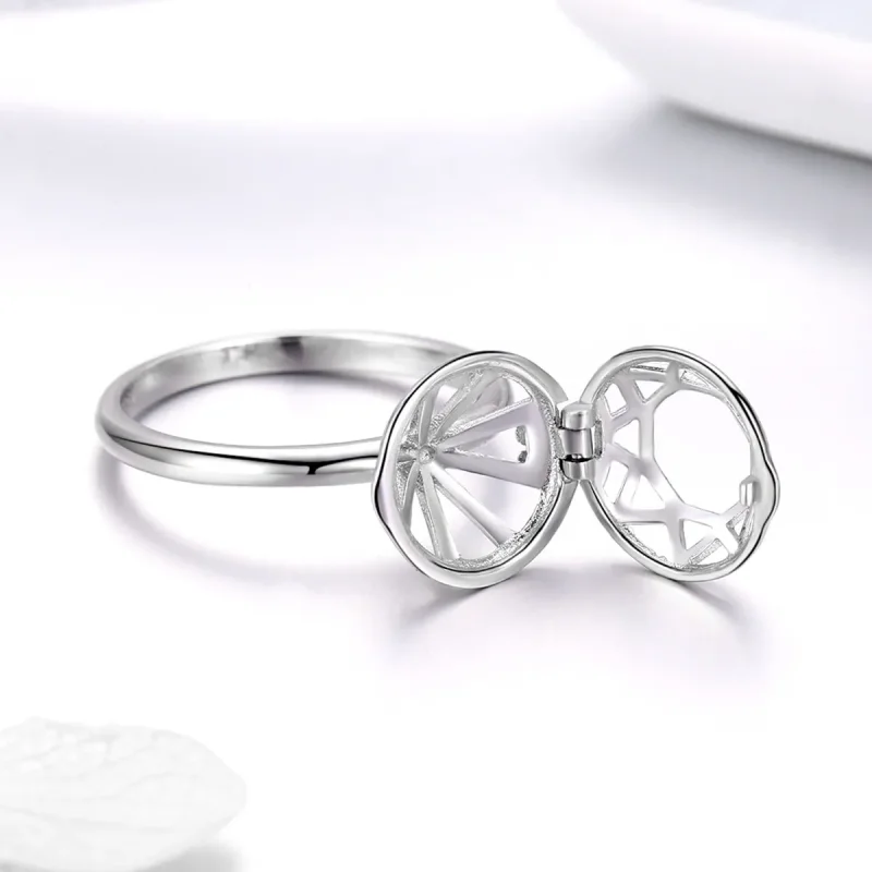 (image for) Silver Love Testimony Ring - PANDORA Style - SCR492 - View 6