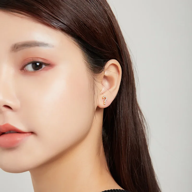 (image for) PANDORA Style Secret Symbol - ? Stud Earrings - SCE1073 - View 4