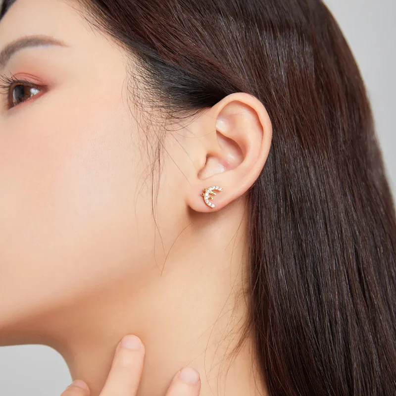 (image for) PANDORA Style Secret Symbol - € Stud Earrings - SCE1074 - View 4