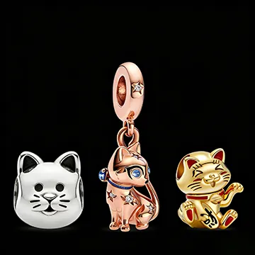 (image for) Cat